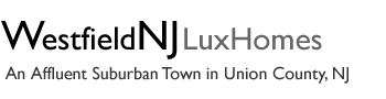  NJ  New Jersey Luxury Real Estate Listings Luxury Homes For Sale MLS Search 